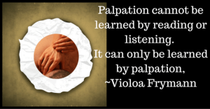 palpation for massage therapists1