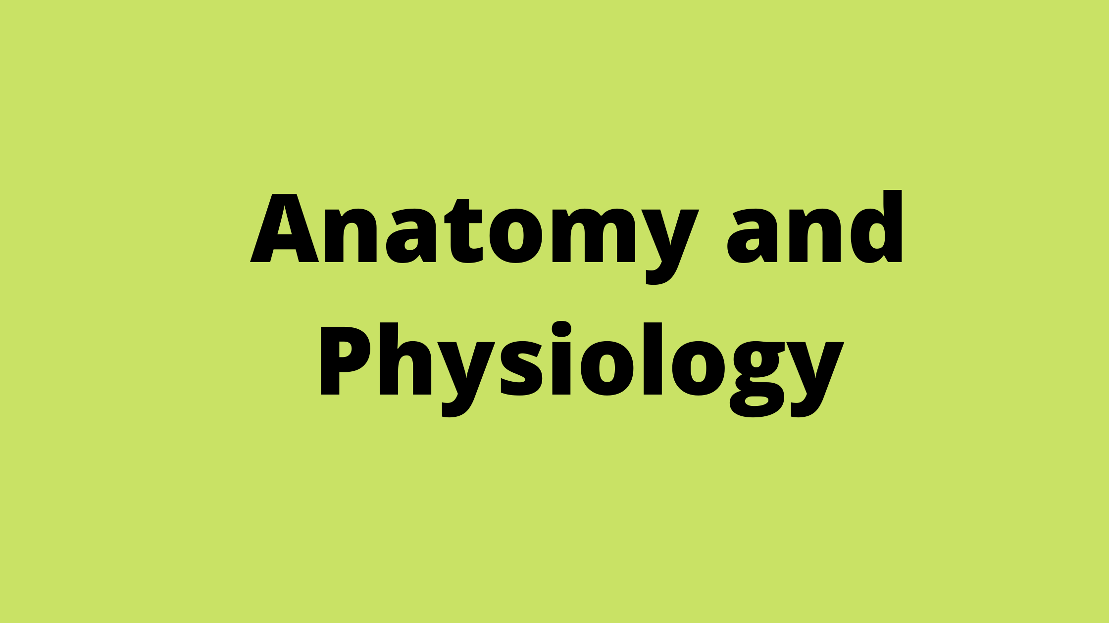 Medical knowledge, Massage therapy business, Muscle anatomy