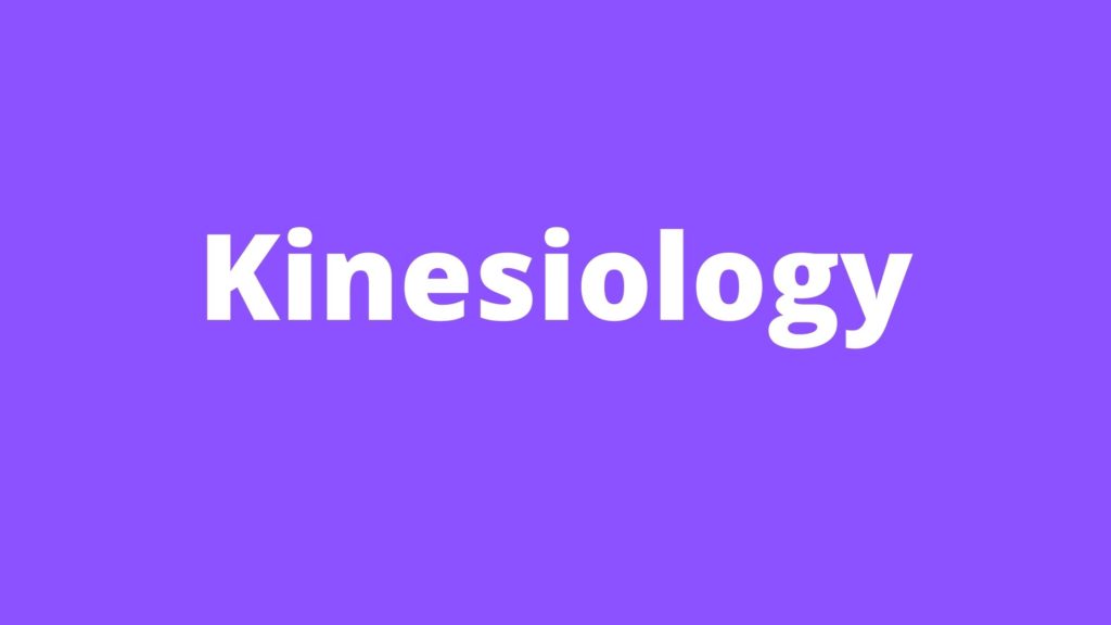 kinesiology for massage therapists